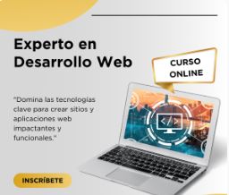 Experto en desarrollo web. Curso online